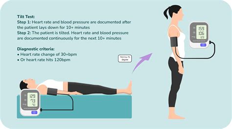 tilt test heart rate drop|tilt table blood pressure test.